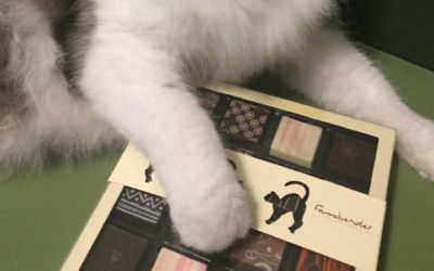 O ensinamento da caixa de bombons